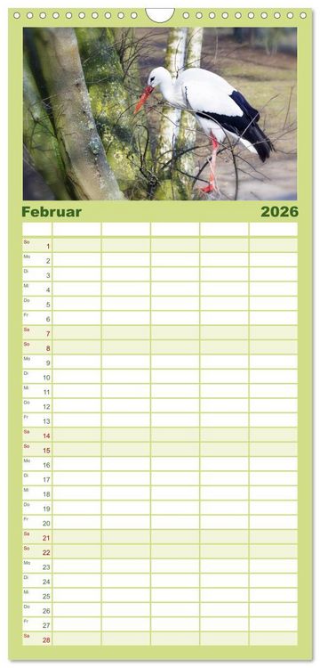 Produktbild: Familienplaner 2026 - Welt der Tiere mit 5 Spalten (Wandkalender, 21 x 45 cm) CALVENDO