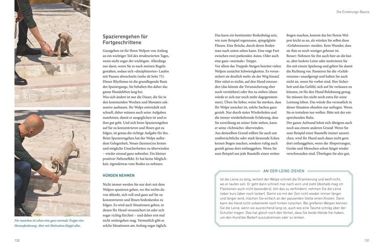 Produktbild: Jos&eacute; Arces Welpenbuch