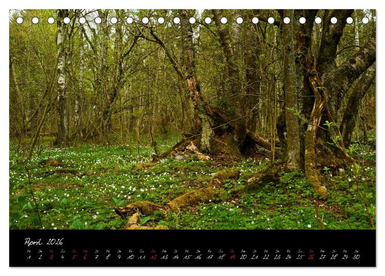 Produktbild: RH&Ouml;N = SCH&Ouml;N (Tischkalender 2026 DIN A5 quer), CALVENDO Monatskalender