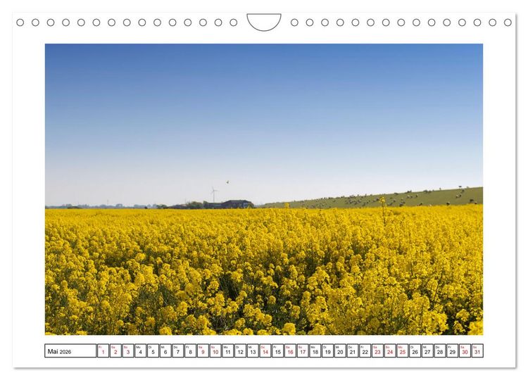 Produktbild: Verliebt in Norddeich (Wandkalender 2026 DIN A4 quer), CALVENDO Monatskalender