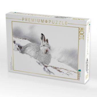 Produktbild: Schneehase im Winterfell (Puzzle)