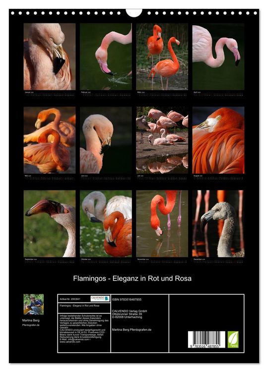 Produktbild: Flamingos - Eleganz in Rot und Rosa (Wandkalender 2026 DIN A3 hoch), CALVENDO Monatskalender
