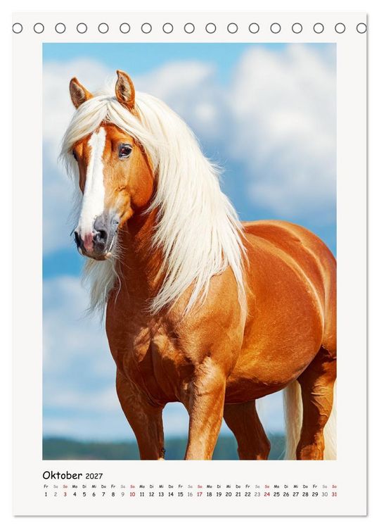 Produktbild: Berge und M&auml;hnen. Haflinger zwischen Alm, Sonne und Freiheit (Tischkalender 2027 DIN A5 hoch), CALVENDO Monatskalender