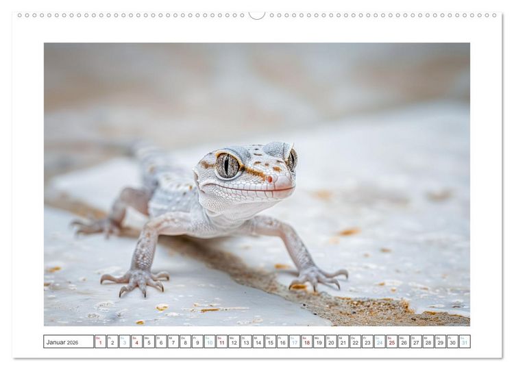 Produktbild: Kleine Echsen haben Spass (Wandkalender 2026 DIN A2 quer), CALVENDO Monatskalender