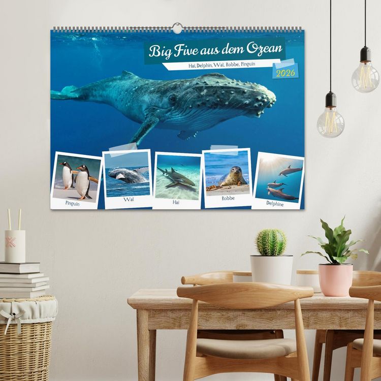 Produktbild: Big Five aus dem Ozean Hai, Delphin, Wal, Robbe, Pinguin (Wandkalender 2026 DIN A2 quer), CALVENDO Monatskalender
