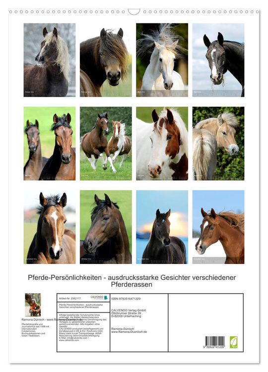 Produktbild: Pferde-Pers&ouml;nlichkeiten - ausdrucksstarke Gesichter verschiedener Pferderassen (Wandkalender 2026 DIN A2 hoch), CALVENDO Monatskalender