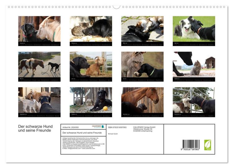 Produktbild: Der schwarze Hund und seine Freunde (hochwertiger Premium Wandkalender 2026 DIN A2 quer), Kunstdruck in Hochglanz