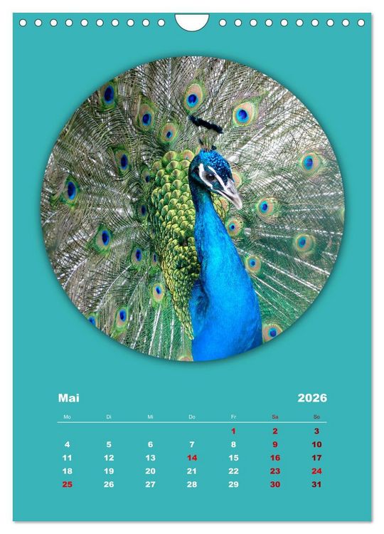 Produktbild: Rundherum Natur (Wandkalender 2026 DIN A4 hoch), CALVENDO Monatskalender