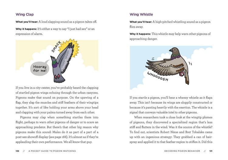 Produktbild: A Pocket Guide to Pigeon Watching