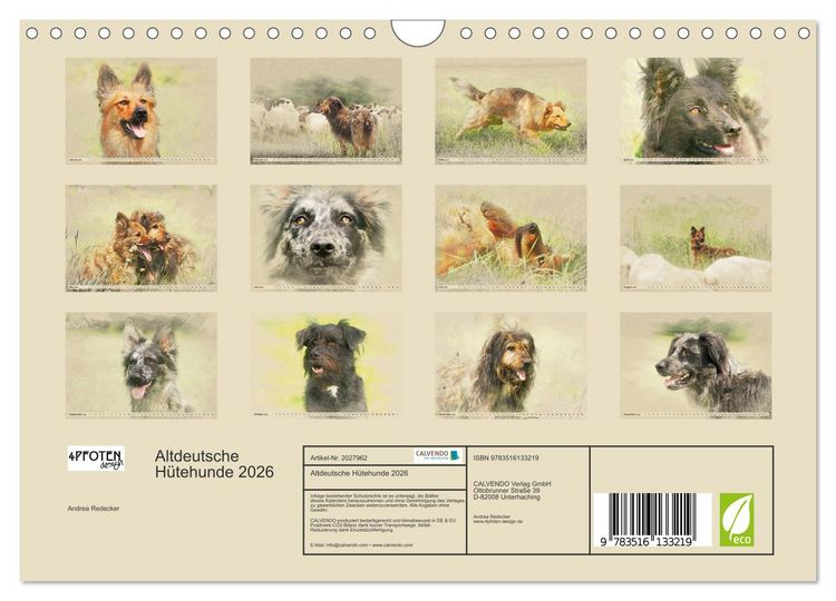 Produktbild: Altdeutsche H&uuml;tehunde 2026 (Wandkalender 2026 DIN A4 quer), CALVENDO Monatskalender