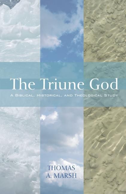 Produktbild: The Triune God: A Biblical, Historical, and Theological Study