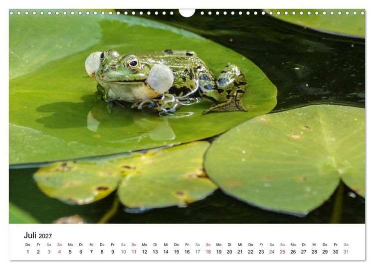 Produktbild: Paradies Naturgarten (Wandkalender 2027 DIN A3 quer), CALVENDO Monatskalender