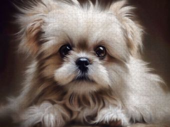 Produktbild: CALVENDO Puzzle Ein Motiv aus dem Kalender Zauberhafte Fluffies | 2000 Teile Lege-Gr&ouml;&szlig;e 90x67cm Foto-Puzzle f&uuml;r gl&uuml;ckliche Stunden
