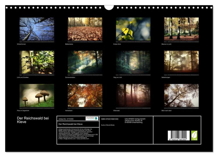 Produktbild: Der Reichswald bei Kleve (Wandkalender 2026 DIN A3 quer), CALVENDO Monatskalender