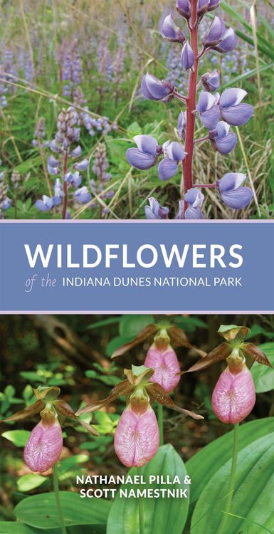 Produktbild: Wildflowers of the Indiana Dunes National Park