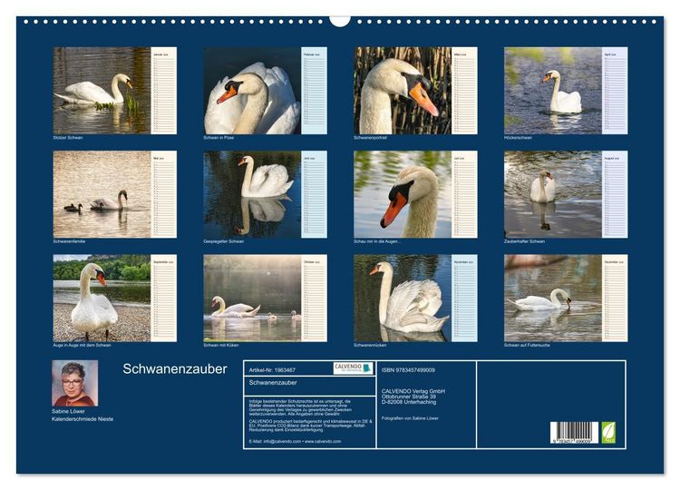 Produktbild: Schwanenzauber (Wandkalender 2026 DIN A2 quer), CALVENDO Monatskalender