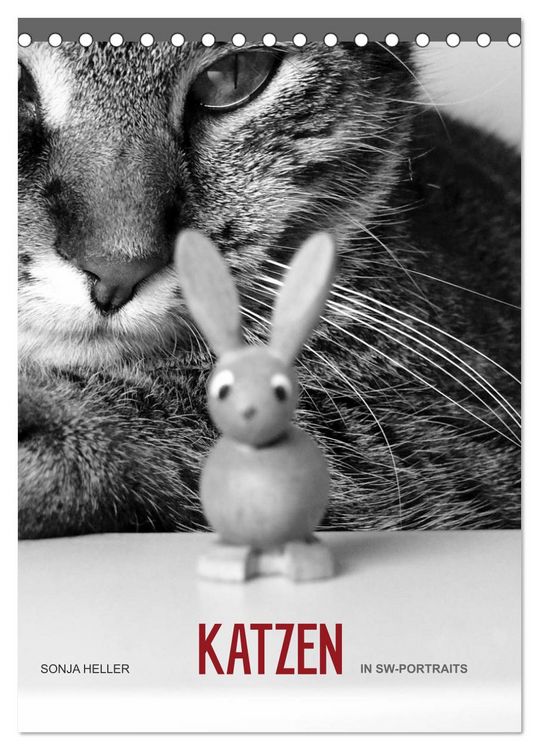 Produktbild: Sonja Heller Katzen in SW-Portraits (Tischkalender 2026 DIN A5 hoch), CALVENDO Monatskalender