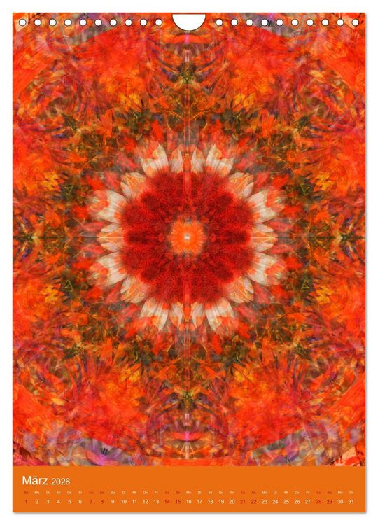 Produktbild: Meditative Pflanzenmandalas (Wandkalender 2026 DIN A4 hoch), CALVENDO Monatskalender