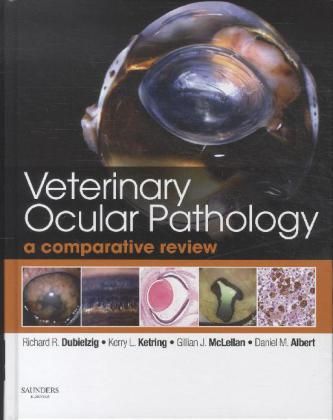 Produktbild: Veterinary Ocular Pathology