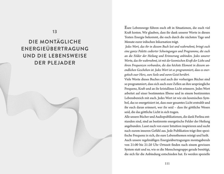 Produktbild: Plejadische Intelligenz