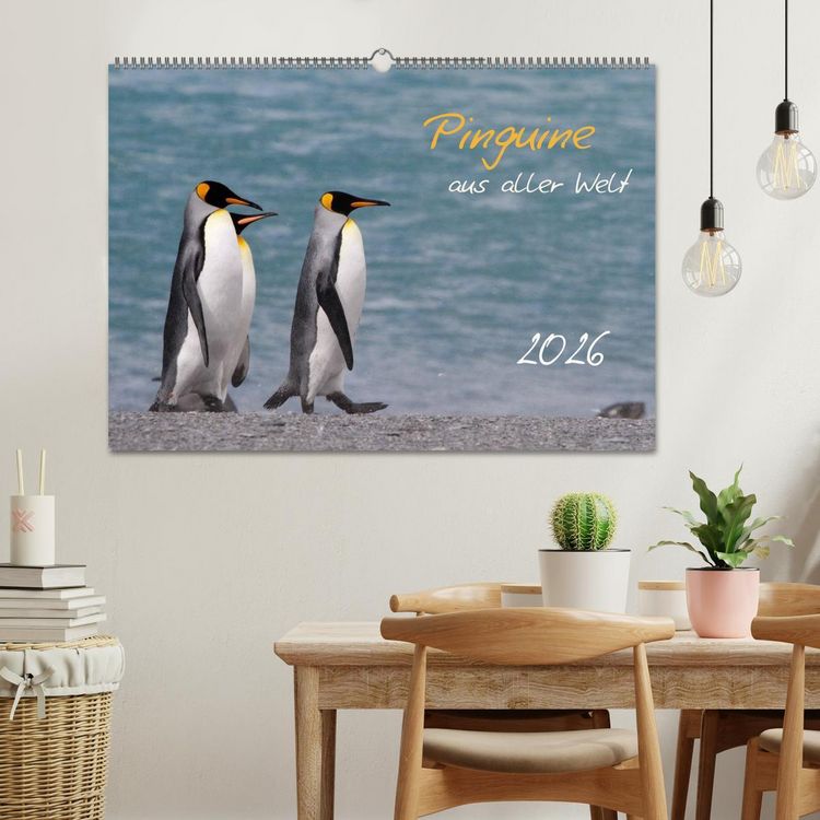 Produktbild: Pinguine aus aller Welt (Wandkalender 2026 DIN A2 quer), CALVENDO Monatskalender