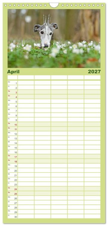 Produktbild: Familienplaner 2027 - Der Windhundekalender mit 5 Spalten (Wandkalender, 21 x 45 cm) CALVENDO
