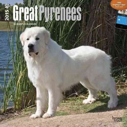Produktbild: Great Pyrenees 2015 Calendar