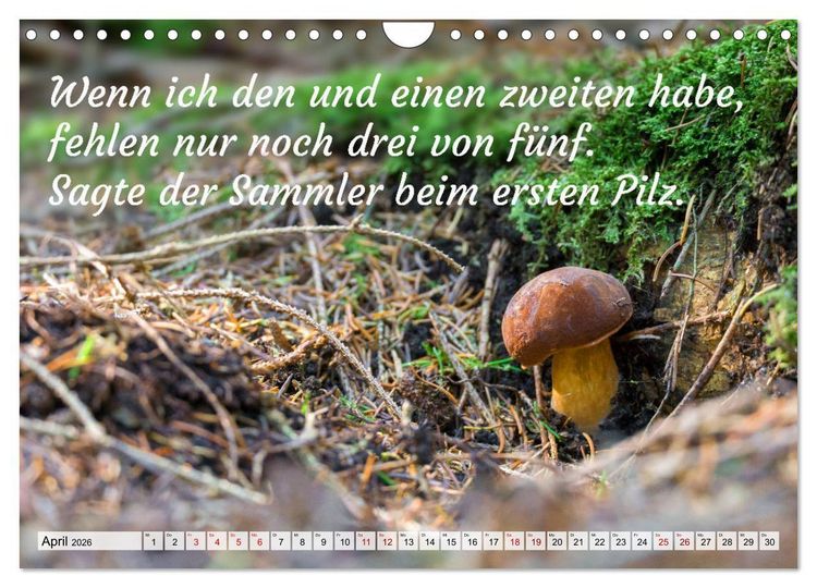 Produktbild: Junge, was hast du`s eilig (Wandkalender 2026 DIN A4 quer), CALVENDO Monatskalender