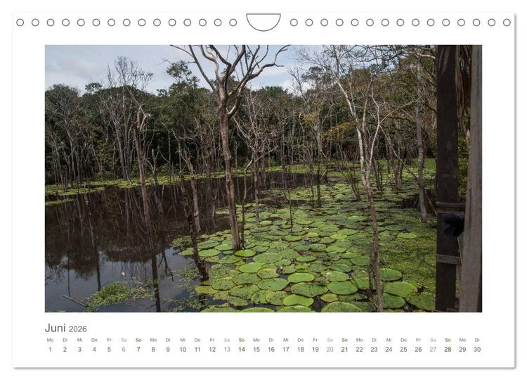 Produktbild: Amazonas, eine Reise entlang seiner Ufer (Wandkalender 2026 DIN A4 quer), CALVENDO Monatskalender
