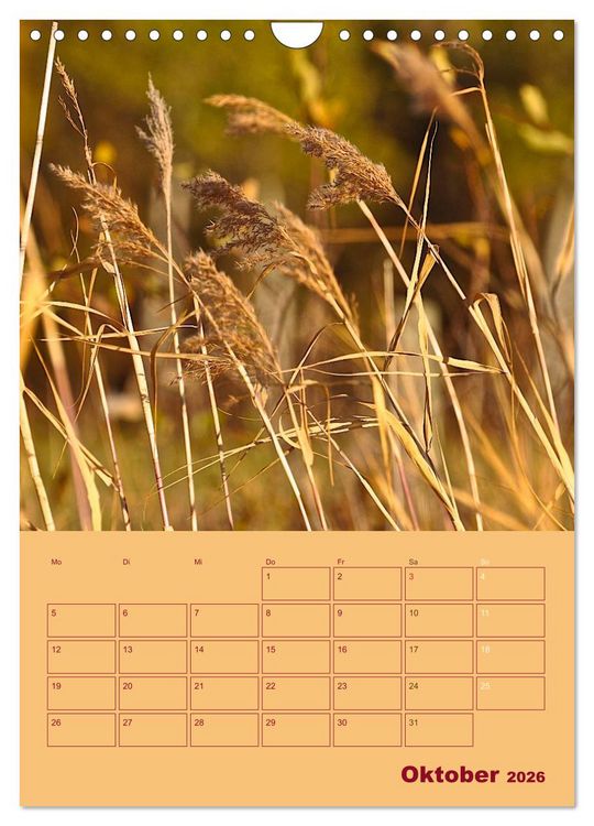 Produktbild: Wald- und Wiesenkalender 2026 Planer (Wandkalender 2026 DIN A4 hoch), CALVENDO Monatskalender