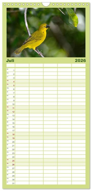 Produktbild: Familienplaner 2026 - Abenteuer Afrika - Im Paradies der Tiere mit 5 Spalten (Wandkalender, 21 x 45 cm) CALVENDO