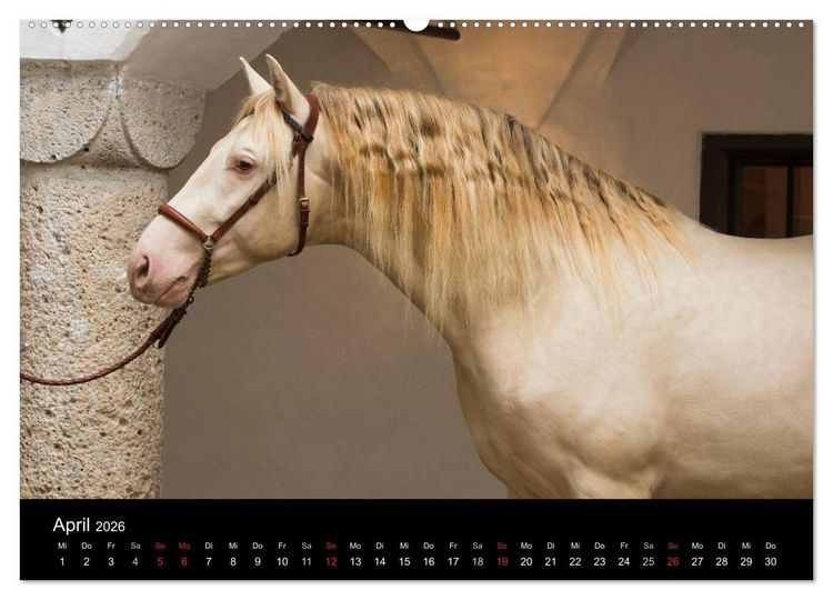Produktbild: Spaniens stolze Pferde (hochwertiger Premium Wandkalender 2026 DIN A2 quer), Kunstdruck in Hochglanz