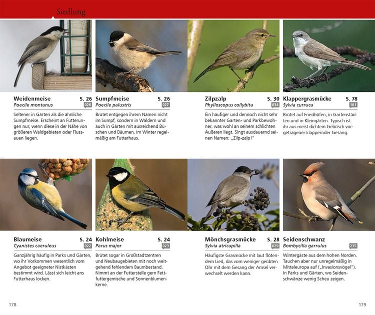 Produktbild: Kosmos Vogelf&uuml;hrer f&uuml;r unterwegs