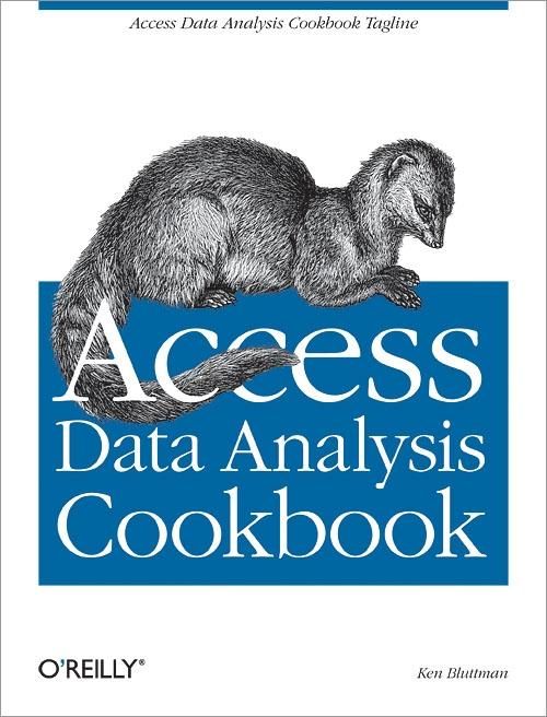 Produktbild: Access Data Analysis Cookbook
