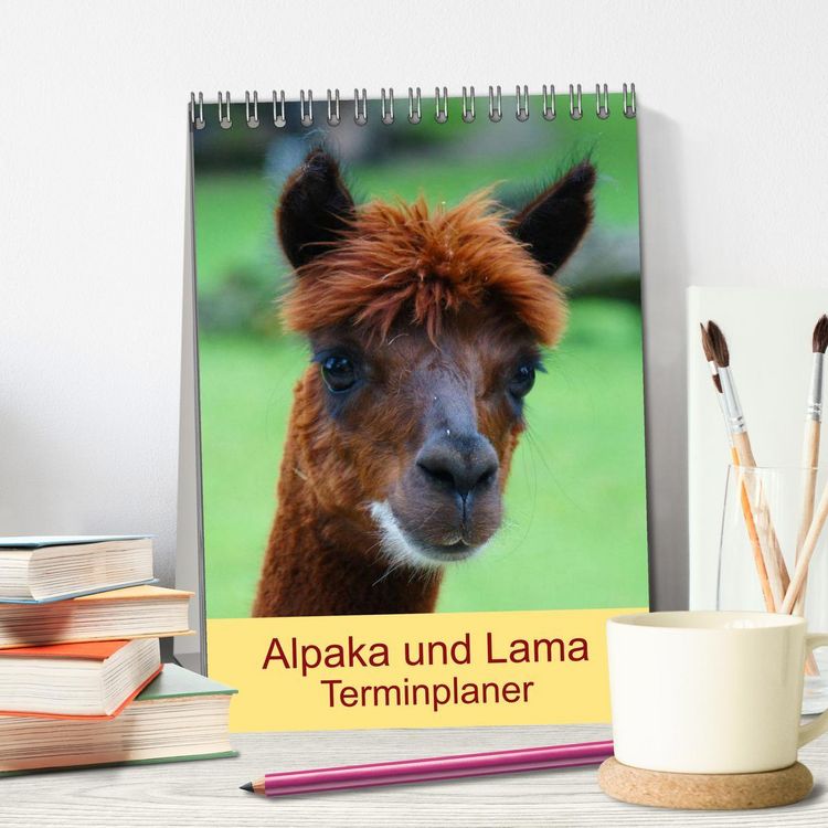 Produktbild: Alpaka und Lama Terminplaner (Tischkalender 2026 DIN A5 hoch), CALVENDO Monatskalender