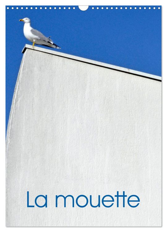 Produktbild: La mouette (Calendrier mural 2026 DIN A3 horizontal), CALVENDO calendrier mensuel