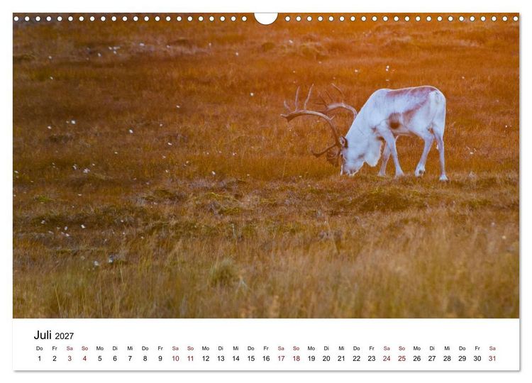 Produktbild: Skandinavien - Hoch im Norden (Wandkalender 2027 DIN A3 quer), CALVENDO Monatskalender