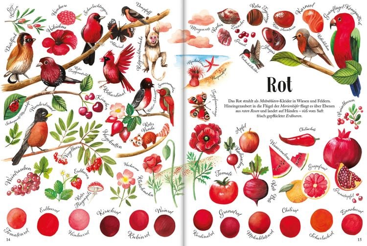 Produktbild: So bunt ist die Natur!