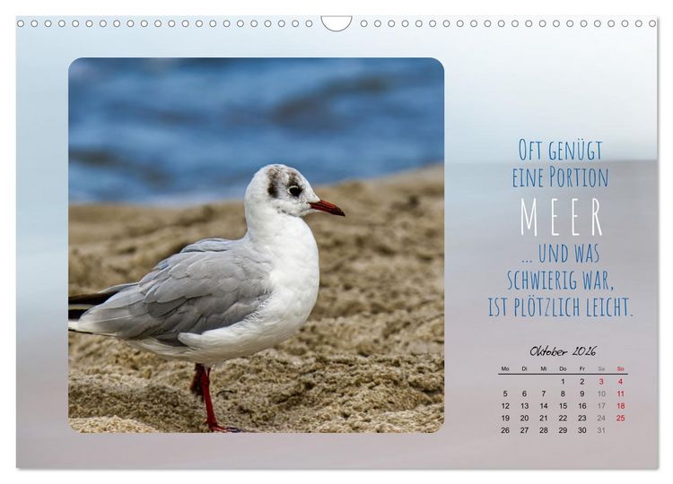 Produktbild: Mehr oder weniger Meer (Wandkalender 2026 DIN A3 quer), CALVENDO Monatskalender