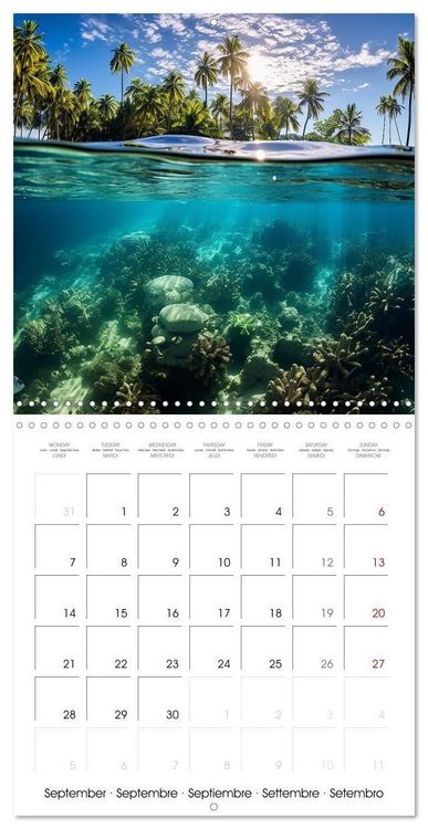Produktbild: Beside tropical beaches (Wall Calendar 2026 12 &times; 12 Inch) CALVENDO 12 Month Wall Calendar