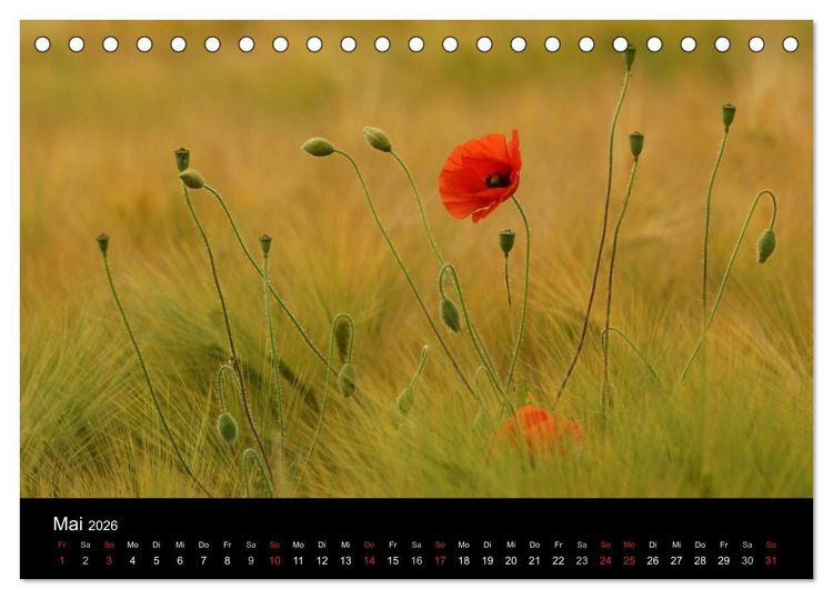 Produktbild: Wilde Bl&uuml;ten-Tr&auml;ume (Tischkalender 2026 DIN A5 quer), CALVENDO Monatskalender