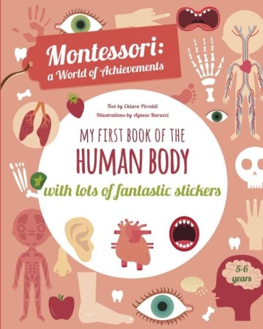 Produktbild: My First Book of the Human Body