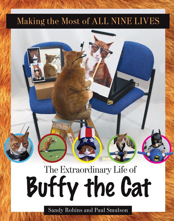 Produktbild: Making the Most of All Nine Lives