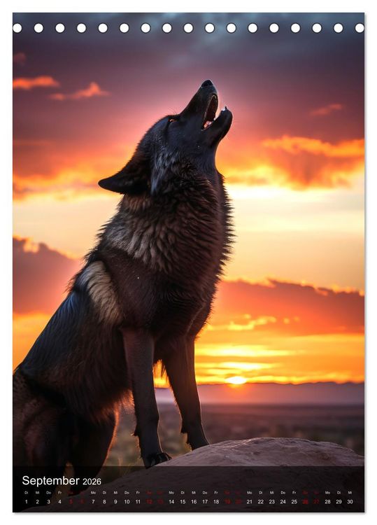 Produktbild: Der Wolf - Sehnsucht Freiheit Kraft (Tischkalender 2026 DIN A5 hoch), CALVENDO Monatskalender