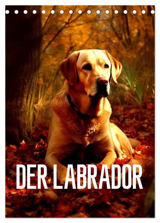 Produktbild: Der Labrador (Tischkalender 2026 DIN A5 hoch), CALVENDO Monatskalender