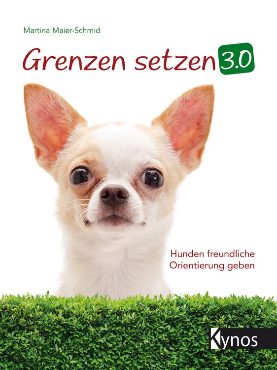 Produktbild: Grenzen setzen 3.0