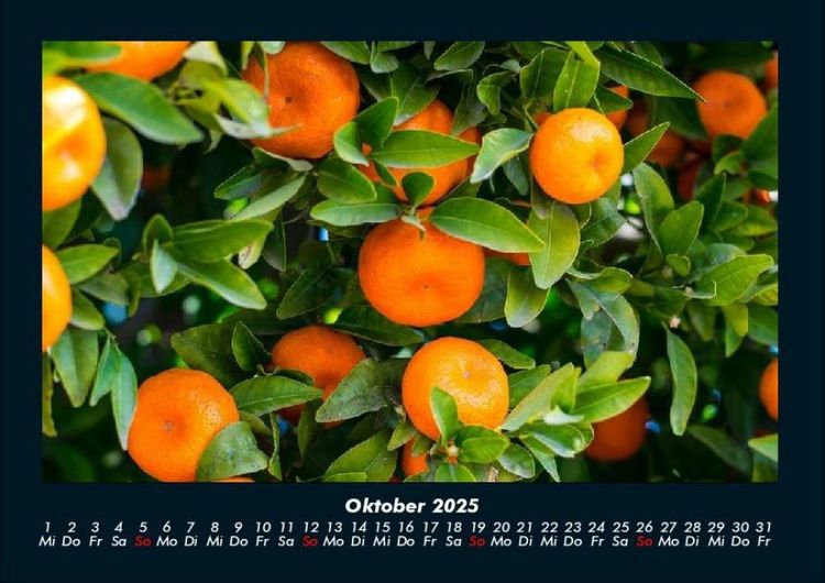 Produktbild: Obstkalender 2025 Fotokalender DIN A4