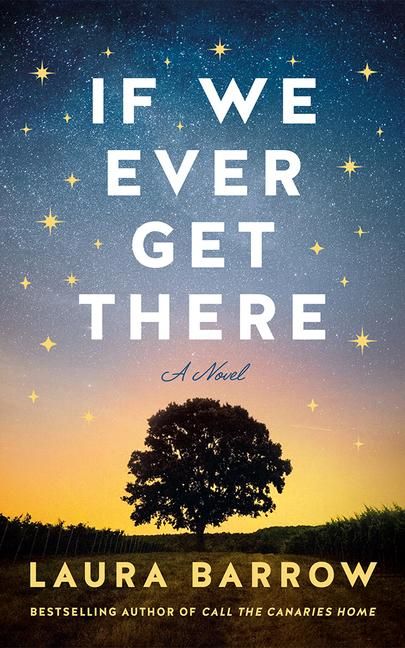Produktbild: If We Ever Get There
