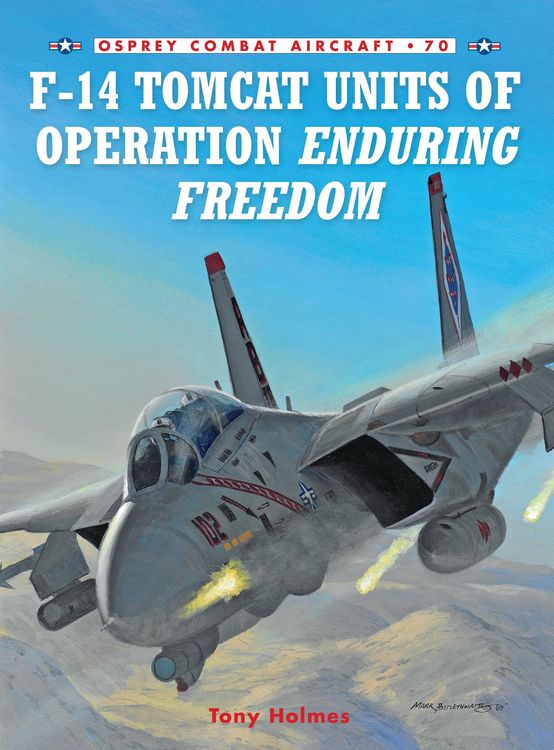 Produktbild: F-14 Tomcat Units of Operation Enduring Freedom