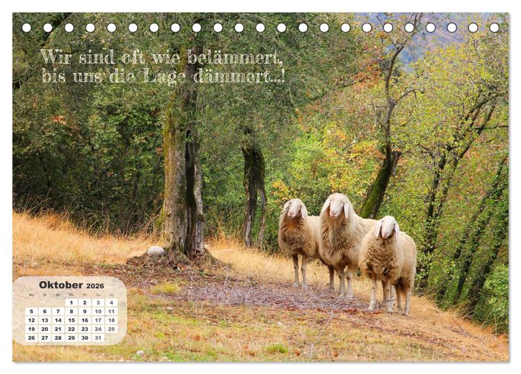 Produktbild: Tierisch und Heiter - Das Leben geht weiter 2026 (Tischkalender 2026 DIN A5 quer), CALVENDO Monatskalender